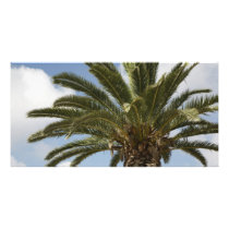 Palme1 Photo Card Template