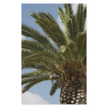 Palme1 Stationery
