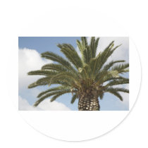 Palme1 Round Stickers