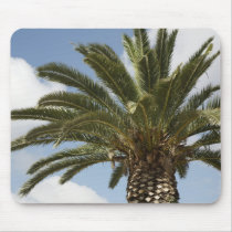 Palme mousepads by orange71 Palme mousepads