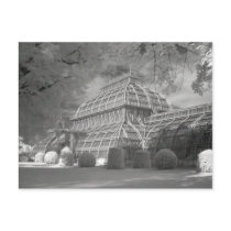 Palmenhaus postcards