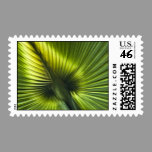 Palmetto Frond Abstract Stamp stamps