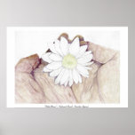 Palmflower - Coloured Pencil - Caroline Tigeress Print