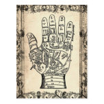 Palmistry Vintage Fortune Teller Postcard