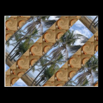 Palms and Sand postcards