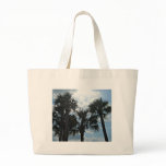 Palms and sunshine