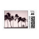 Palms at Hale'iwa Beach Park postage