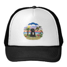 Palms - Black Portie 5bw Hats