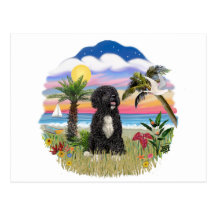 Palms - Black Portie 5bw Postcards
