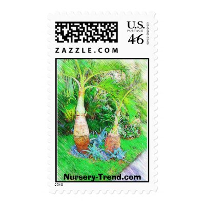 Palms & Landscape  - Miami Beach, Fl collection... Postage by palmimages