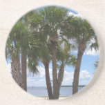 Palms On The Beach Drink Coasters