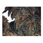 Palms Post Card