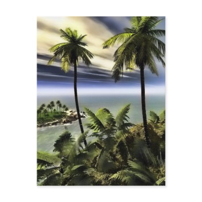 palms post cards by iodesigns