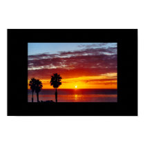 Palms posters