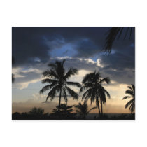 Palms sunset postcards by DairaEE Palms sunset postcards
