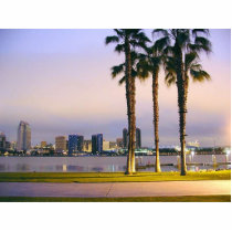 Palms Trees On Piers photo sculptures by lifesphere Palms Trees On Piers photo sculptures