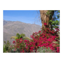 PalmSprings (4) posters by ilhiker PalmSprings (4) posters