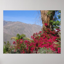 PalmSprings (4) Posters