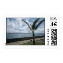 palmtree1 stamp