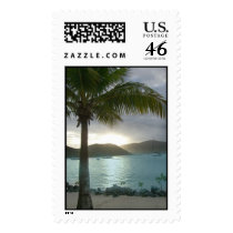 palmtree2 stamp by iluvsrk palmtree2 stamp