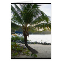 palmtree3 card