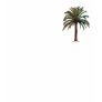 palmtree