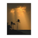 Palmtrees at sunet postcards by alinphoto Palmtrees at sunet postcards