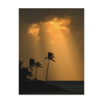 Palmtrees at sunet postcards