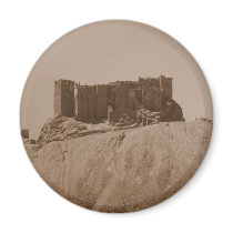Palmyra magnets
