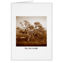 Palo Alto Foothills cards