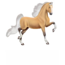 Palomino American Saddlebred Horse Babydoll Shirt
