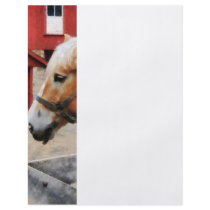 Palomino By Red Barn Flyer Design