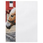 Palomino By Red Barn flyers