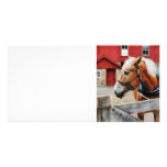 Palomino By Red Barn Custom Photo Card