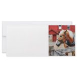 Palomino By Red Barn Rack Card Design