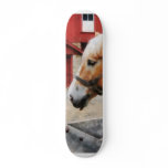 Palomino By Red Barn Skate Boards
