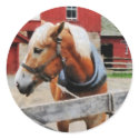 Palomino By Red Barn sticker