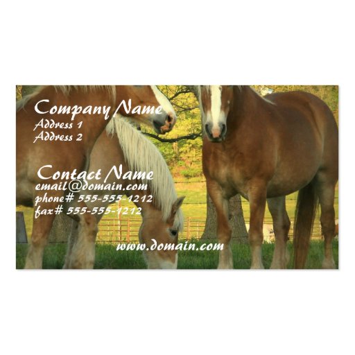 Palomino Draft Horses Business Card (front side)