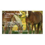Palomino Draft Horses Business Card