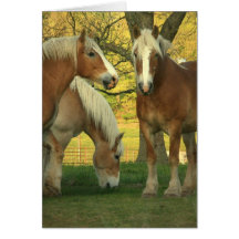 Palomino Draft Horses Greeting Card