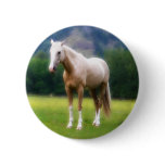 Palomino Dream Horse Pin