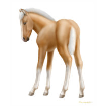 Palomino Foal Ladies Babydoll Shirt by twopurringcats Palomino Foal Ladies Babydoll Shirt