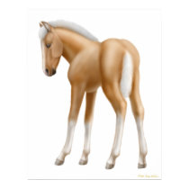Palomino Foal posters by twopurringcats Palomino Foal posters