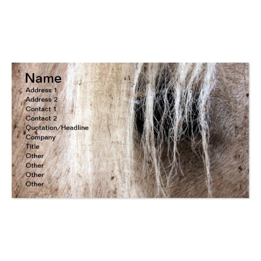 Palomino Grunge Business Card Template (front side)
