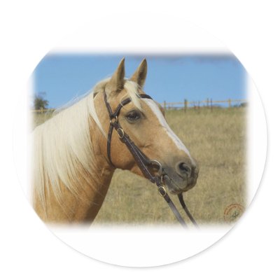 Palomino Horse 9R015D-184 Stickers by TraffordPhotos