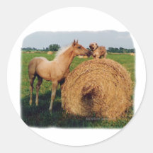 Palomino Horse and Dog Meeting Round Sticker