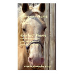 Palomino Horse Business Card