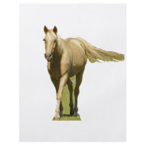 Palomino Horse flyers