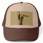 Palomino Horse Hat