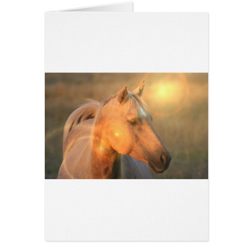 Palomino Horse in Light Greeting Card